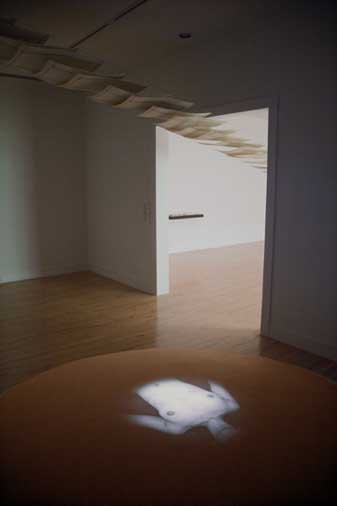 「Force of Nature」 Van Every / Smith Galleries at Davidson College /AIR_e0033809_2327371.jpg