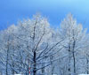 美しい冬景色＆冬らしい一枚を撮ってみた！_00000010_872897.jpg