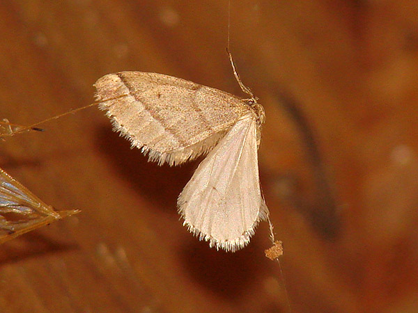 b0033112_2185517.jpg