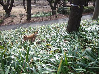 公園はしご_d0143214_2113218.jpg