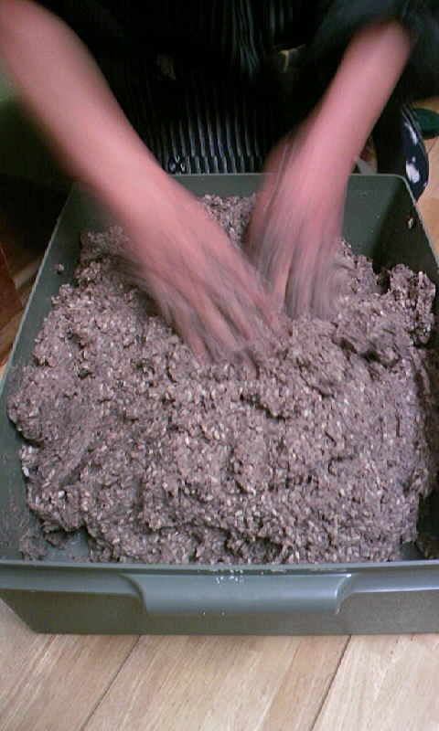 f0061414_19562012.jpg