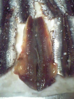 d0035823_13591749.jpg