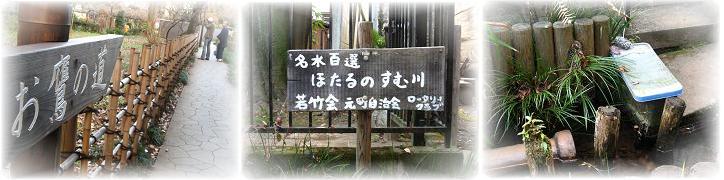 b0075828_52379.jpg