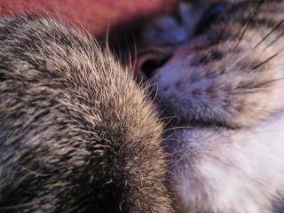 e0113040_2112315.jpg