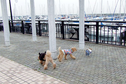 c0019050_03067.jpg