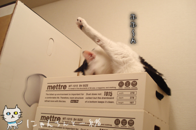 飽きずに待ち隊、隊員変更_e0031853_155277.jpg