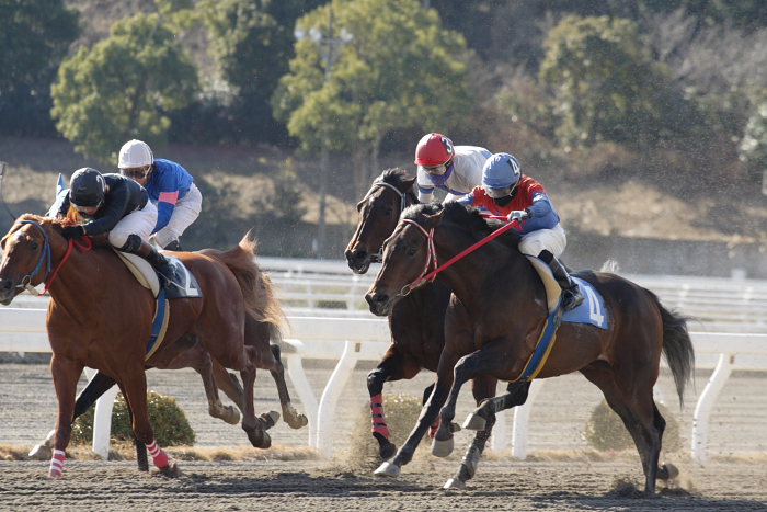 2008年1月1日（火） 高知競馬 2R_a0077663_1813071.jpg