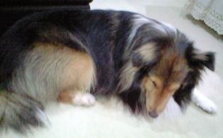 c0131164_2228147.jpg