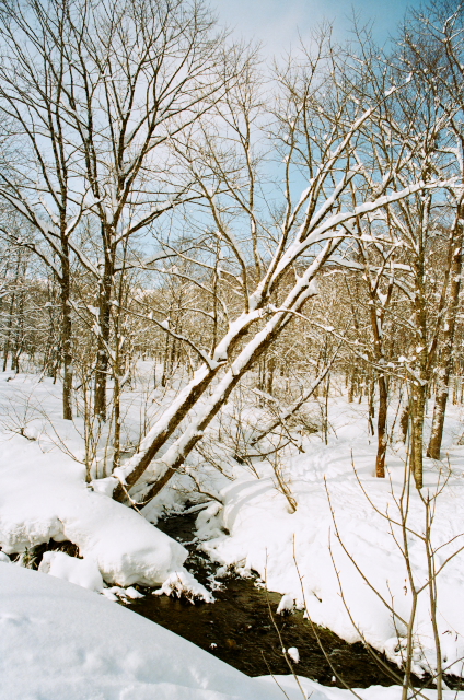 c0006767_23554257.jpg