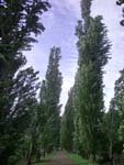 f0072779_024555.jpg