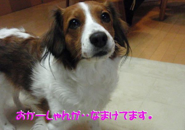 c0075585_043953.jpg