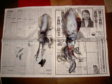 イカ釣り行ってましたょー。やっと一人立ちできました。。(^^)!_f0039487_21102430.jpg