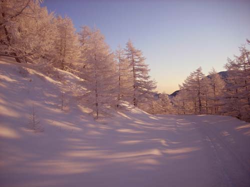 雪景色の美しさ_e0120896_10165642.jpg