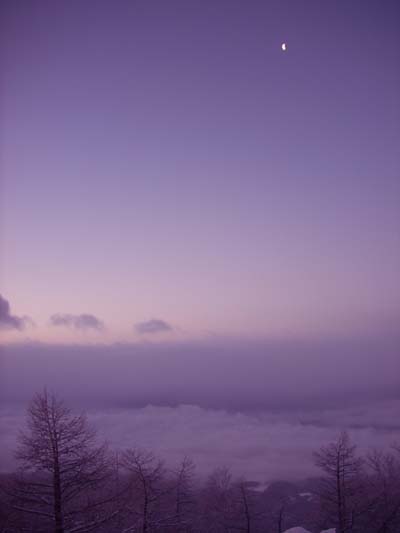 雪景色の美しさ_e0120896_943398.jpg