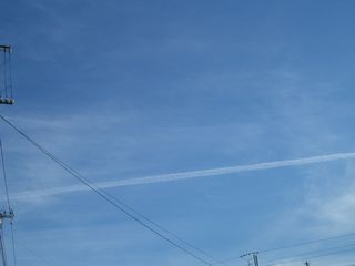 b0061107_8275266.jpg
