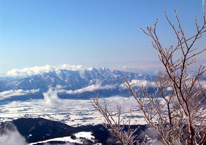 c0078410_0512556.jpg