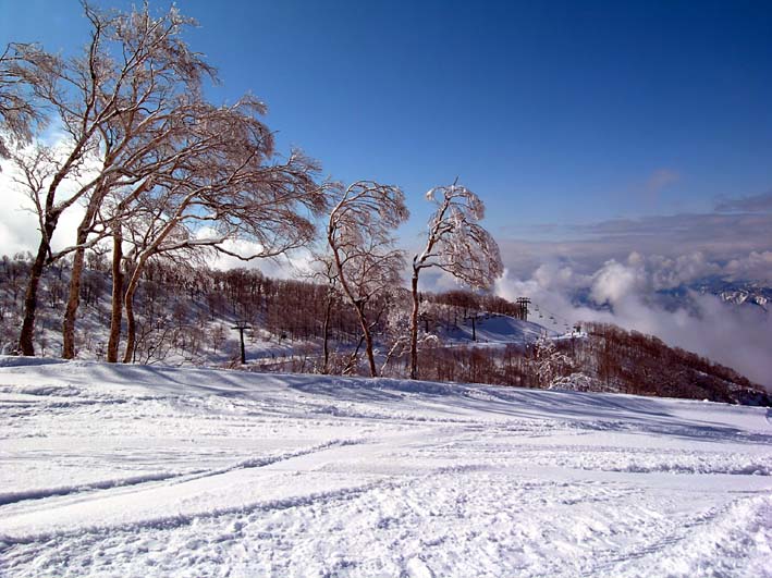 c0078410_0523477.jpg