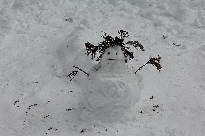 予想外の雪模様　貴船神社編その二_f0032011_2093830.jpg