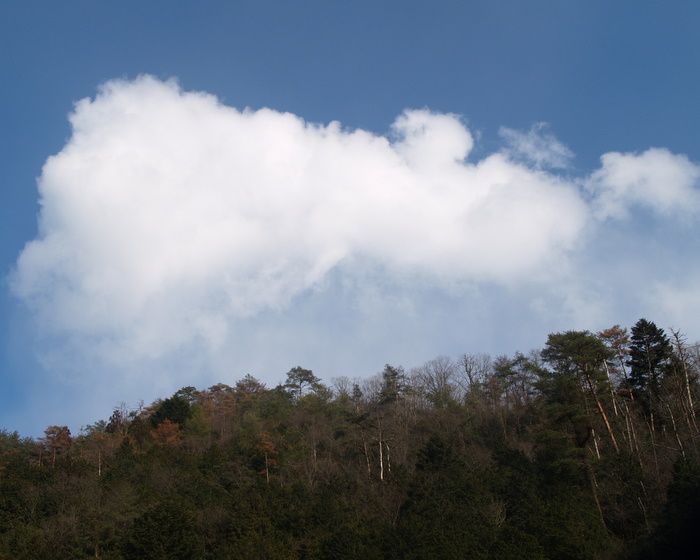 今日の青空_c0116915_22442466.jpg