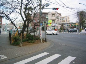 第3回　野火止用水、ライシャワー館、薬用植物園、_e0117318_1627923.jpg