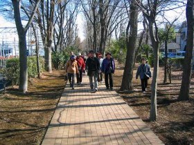 第3回　野火止用水、ライシャワー館、薬用植物園、_e0117318_1901897.jpg