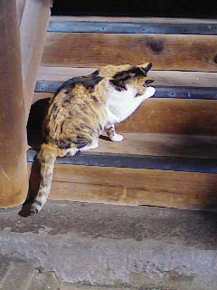 f0002119_16512250.jpg