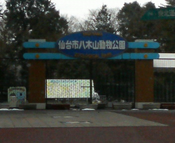 昔なつかしい_e0124021_11192678.jpg
