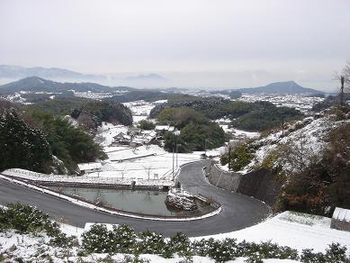 f0000521_9645.jpg