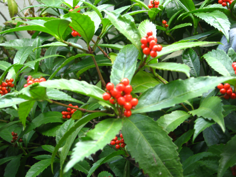 c0038424_042145.jpg