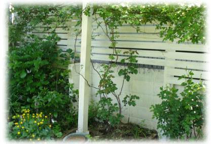 d0140329_2010431.gif