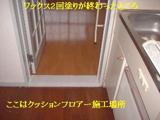 f0031037_1734825.jpg