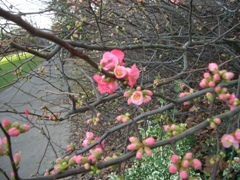 c0138438_19231992.jpg