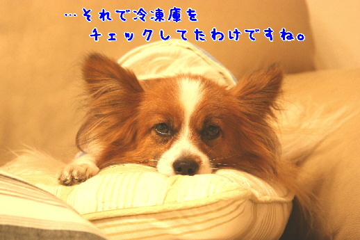 d0013149_90820.jpg
