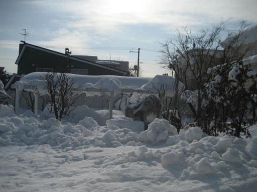 a0075455_1032518.jpg