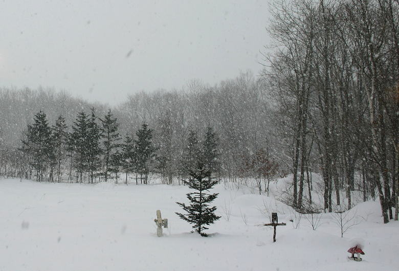 雪が舞う_c0112479_2283088.jpg