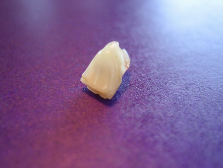 e0023086_041589.jpg