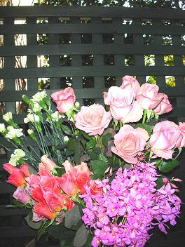 お花たち_c0128489_2325329.jpg