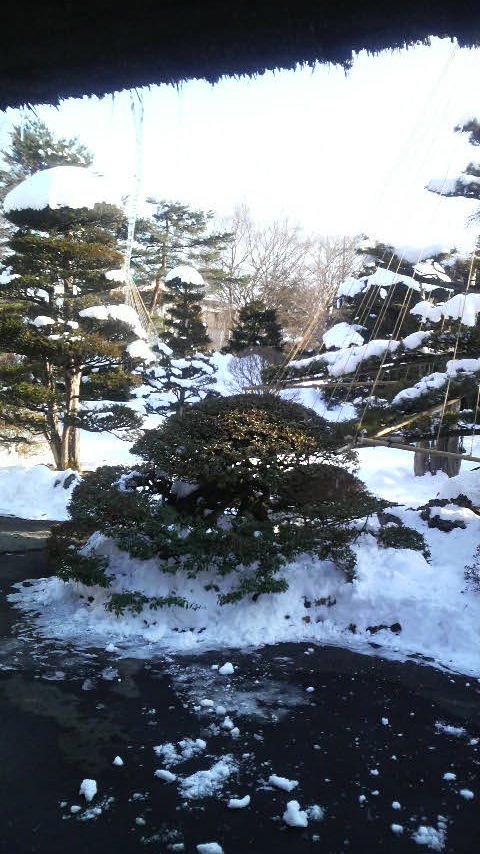 c0114000_20593575.jpg