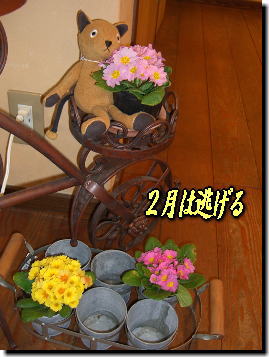 a0075802_22113398.jpg