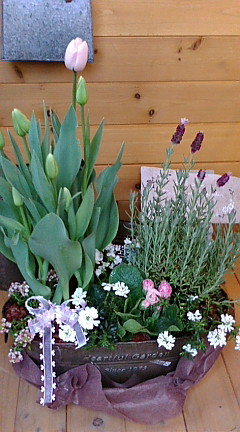 c0152002_17191277.jpg