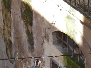 f0133814_3385861.jpg