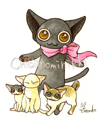 猫の月♪猫のイベント♪_e0044139_23451813.jpg