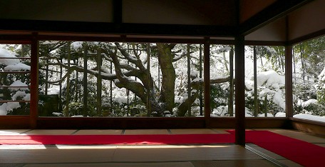 京の雪景色めぐり vol.3 宝泉院_c0057946_19341461.jpg