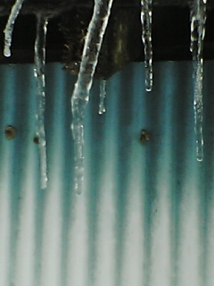 e0085052_10304647.jpg