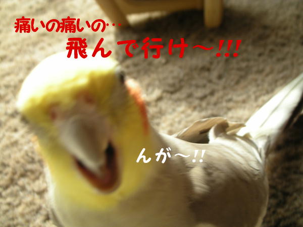 f0132055_0121265.jpg