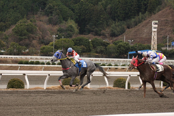 2008年1月14日（月） 高知競馬 2R_a0077663_19272948.jpg