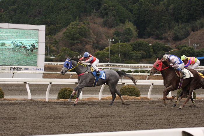 2008年1月14日（月） 高知競馬 2R_a0077663_19273979.jpg