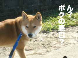 3歳の伊佐蔵を思うと_b0057675_10363584.jpg