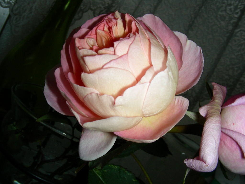 b0096584_12423696.jpg