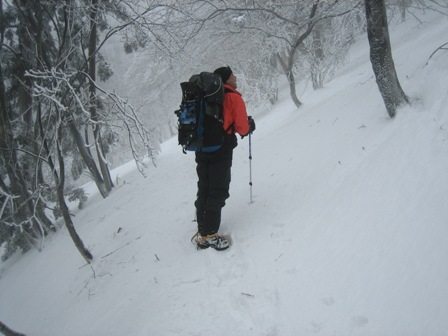 c0147398_136287.jpg